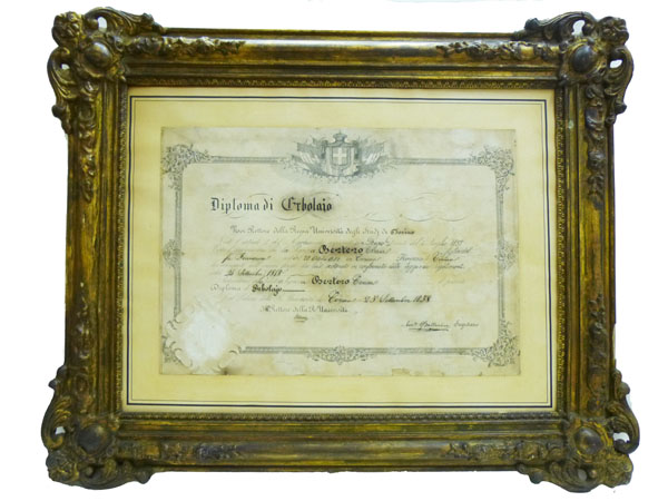 foto diploma