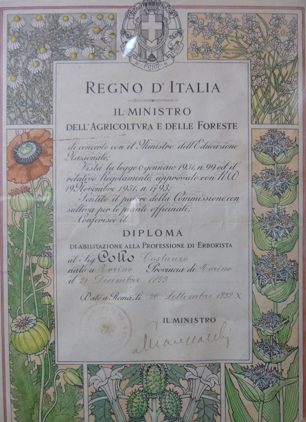 diploma
