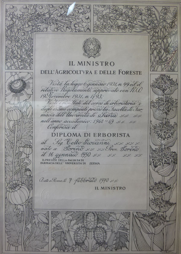 diploma