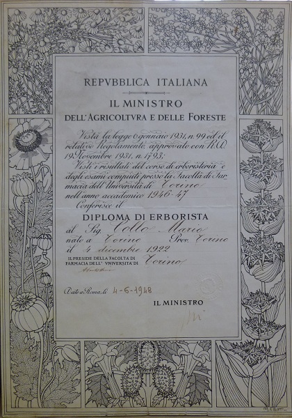 diploma