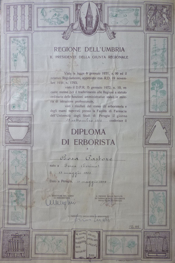 diploma