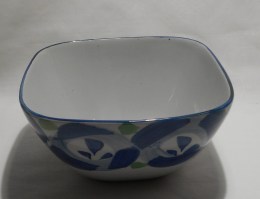 DSCN2799
